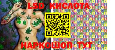 spice Донской