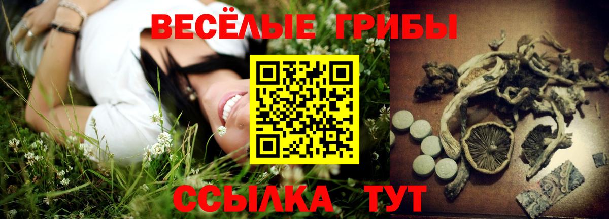 Кумертау  Псилоцибиновые грибы Psilocybine cubensis  Вход с VPN 
